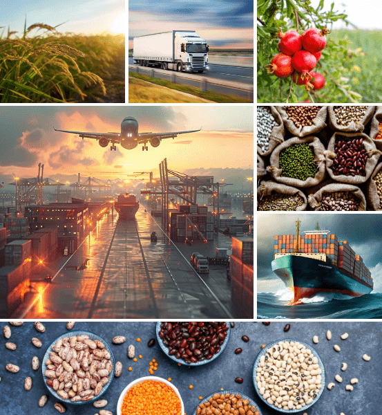 fashion photo collages facebook post (553 x 600 px) (1)